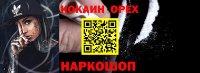 2c-b Кингисепп