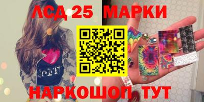 2c-b Кингисепп