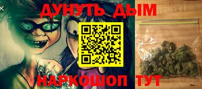 сатива Кимры