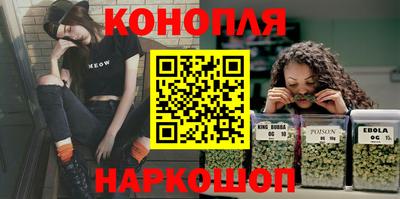 2c-b Кингисепп