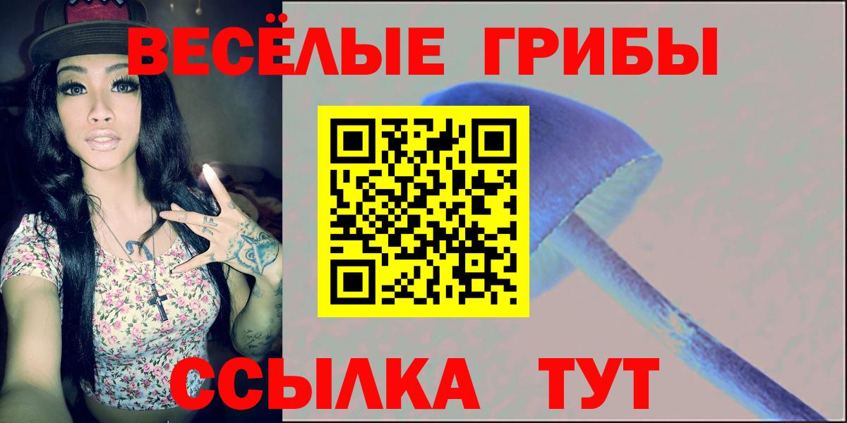 Галлюциногенные грибы прущие грибы  Псилоцибиновые грибы Psilocybe  Кингисепп  Вход с VPN 